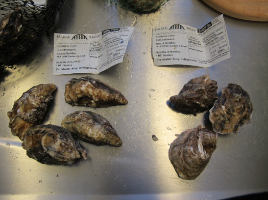 Sea Cows (left) and Blue Pools (right)