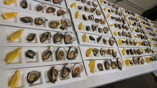 DOWL oyster plates